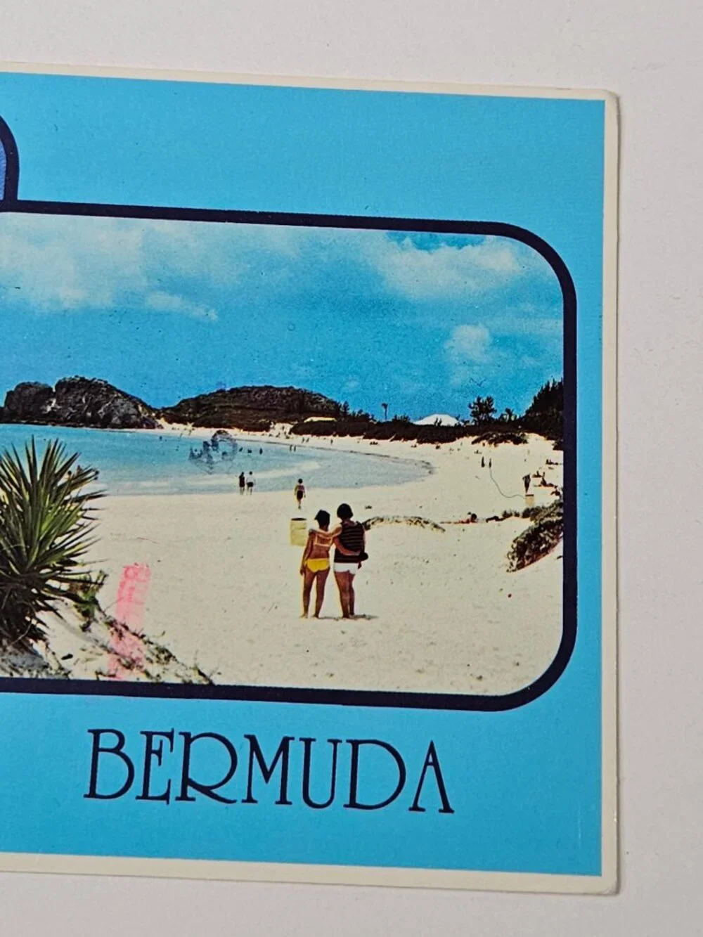 Bermuda Postcard